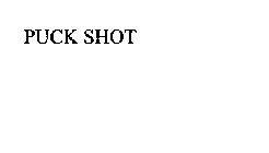 PUCK SHOT