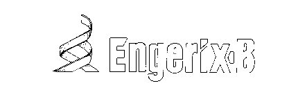 ENGERIX-B