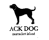 ACK DOG NANTUCKET ISLAND