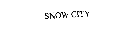 SNOW CITY