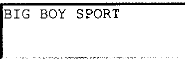 BIG BOY SPORT