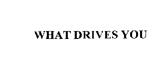 WHAT DRIVES YOU