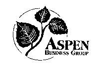 ASPEN BUSINESS GROUP