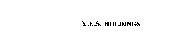 Y.E.S. HOLDINGS