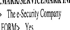 THE E-SECURITY COMPANY