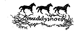 MUDDYSHOES