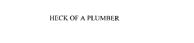 HECK OF A PLUMBER