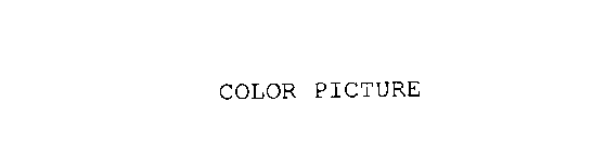 COLOR PICTURE