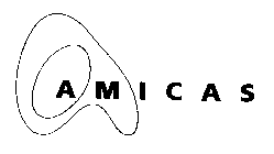 A AMICAS