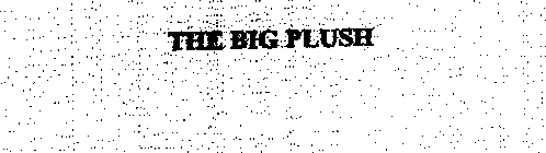 THE BIG PLUSH