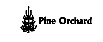 PINE ORCHARD