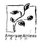 AMERICAN AIRLINES SALON