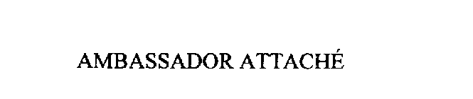 AMBASSADOR ATTACHE