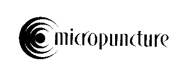 MICROPUNCTURE
