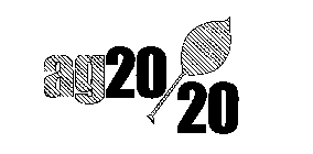 AG20 20