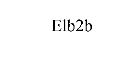 ELB2B