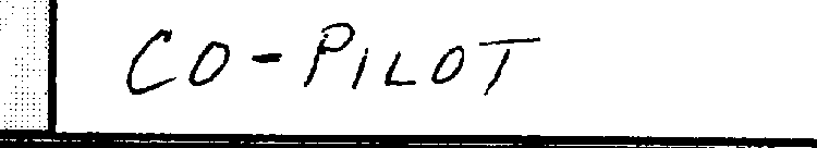 CO-PILOT