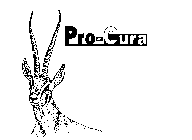 PRO-CURA
