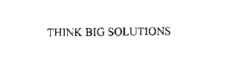 THINK BIG SOLUTIONS