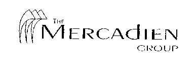 THE MERCADIEN GROUP