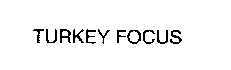 TURKEY FOCUS