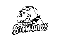 BIRMINGHAM STEELDOGS