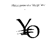 Y = O