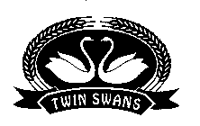 TWIN SWANS