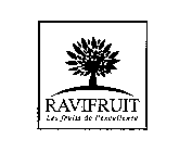 RAVIFRUIT LES FRUITS DE L'EXCELLENCE