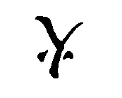 Y