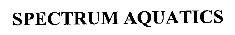 Image for trademark with serial number 76138943