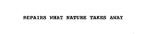 REPAIRS WHAT NATURE TAKES AWAY