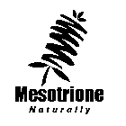 MESOTRIONE NATURALLY