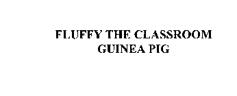 FLUFFY THE CLASSROOM GUINEA PIG