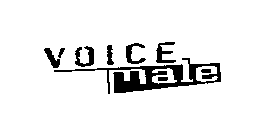 VOICE MALE