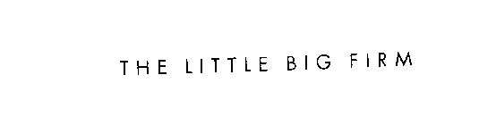 THE LITTLE BIG FIRM