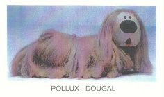 POLLUX - DOUGAL