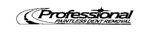 PROFESSIONAL PAINTLESS DENT REMOVAL