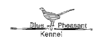 BLUE PHEASANT KENNEL