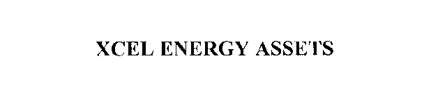 XCEL ENERGY ASSETS