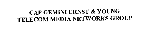 CAP GEMINI ERNST & YOUNG TELECOM MEDIA NETWORKS GROUP