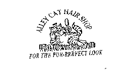 ALLEY CAT HAIR SHOP FOR THE PUR-RRRFECT LOOK