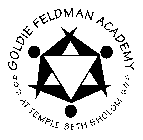 GOLDIE FELDMAN ACADEMY AT TEMPLE BETH SHOLOM