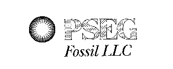 PSEG FOSSIL LLC