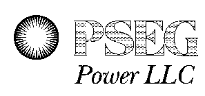 PSEG POWER LLC