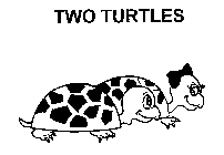 TWO TURTLES