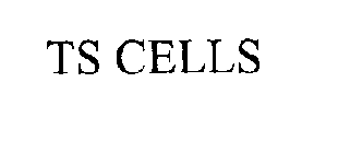 TS CELLS