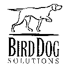 BIRDDOG SOLUTIONS