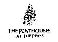 THE PENTHOUSES AT THE PEAKS