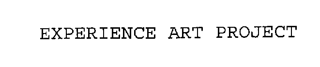 EXPERIENCE ART PROJECT